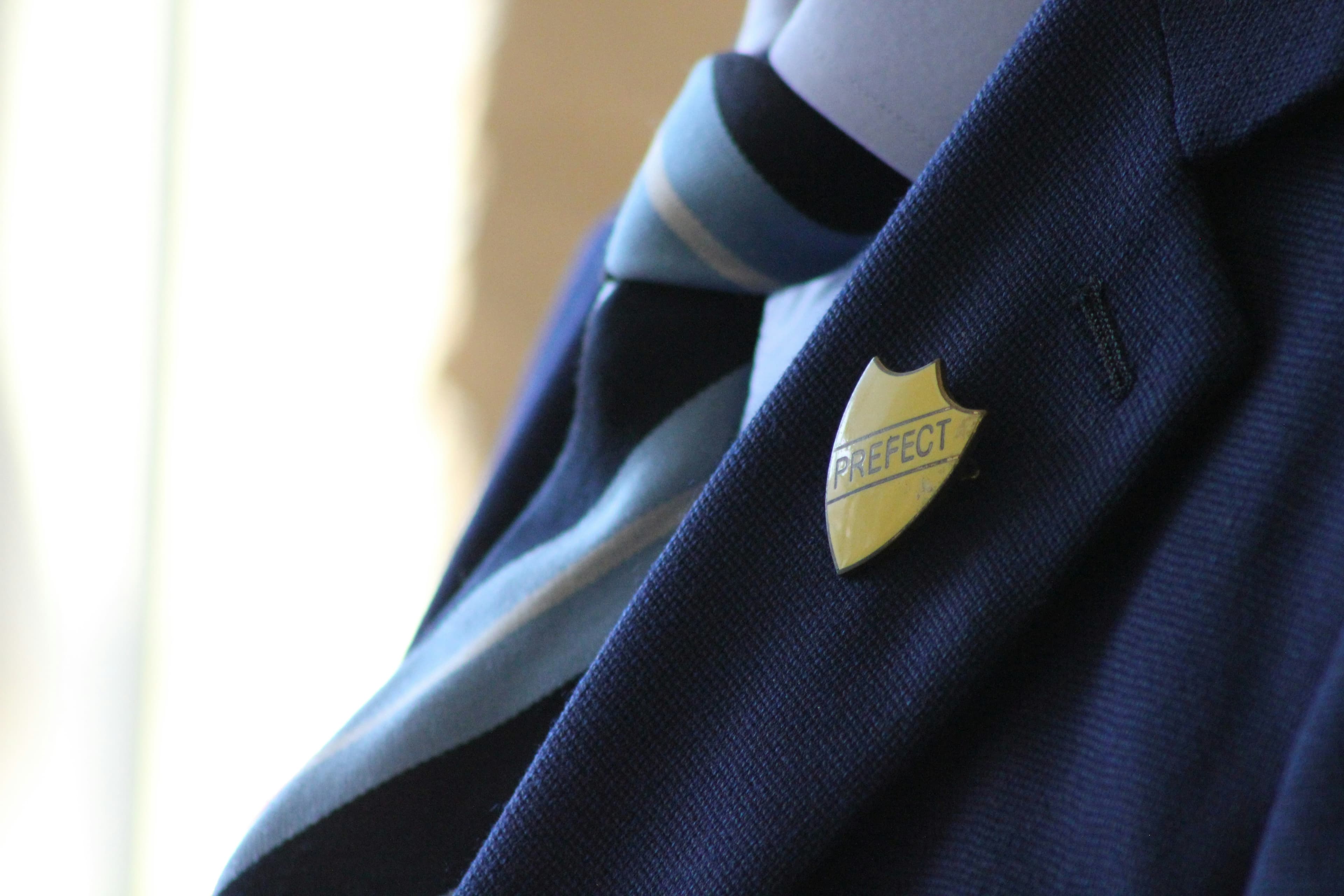 School Support Services